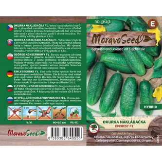 Okurka nakl. jemn. EVEREST F1_30 s