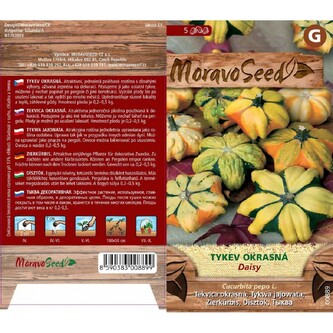 Okrasné tykvičky - DAISY_1 g