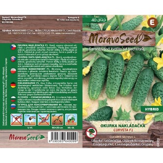 Okurka nakl. hrub. CORVETA F1_40 s