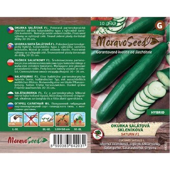 Okurka sal. had. SATURN F1_10 s