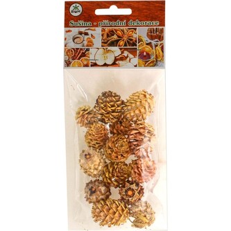 Sušina - Šiška salignum 14 ks"