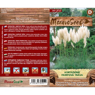 Pampová tráva (cortaderia selloana) - BÍLÁ_0,05 g