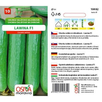 Okurka sal. rychl. LAWINA F1_10 s