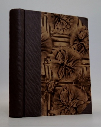 rabě monte cristo - Pán světa II. díl