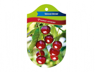 Višeň DEBRECENI BOTERMO I.jakost