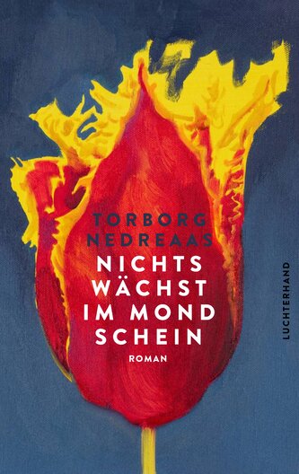 Nichts wächst im Mondschein