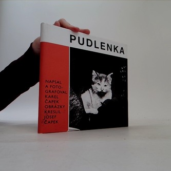 Pudlenka