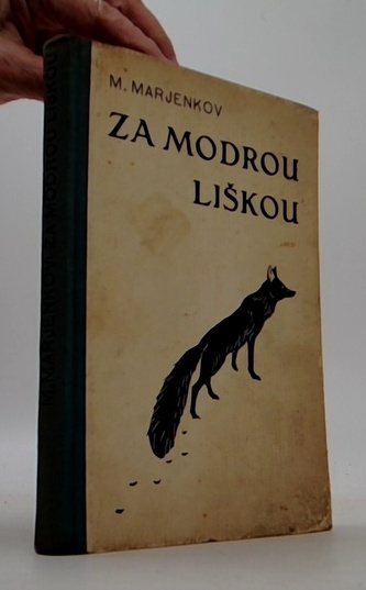 Za modrou liškou