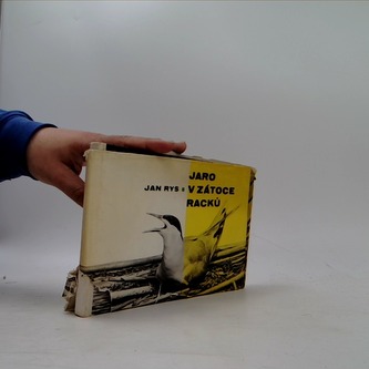 Jaro v zátoce racků