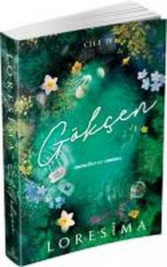 Gökcen 4 Masallar ve Sonlari