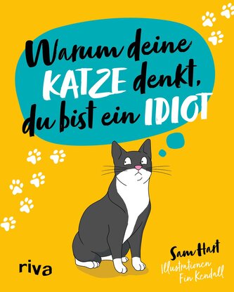 Warum deine Katze denkt, du bist ein Idiot Warum deine Katze denkt, du bist ein Idiot
