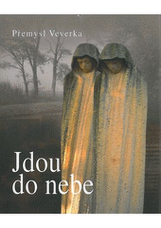 Jdou do nebe: příběh Danila Ladrona, Heleny Kovalyové a dalších