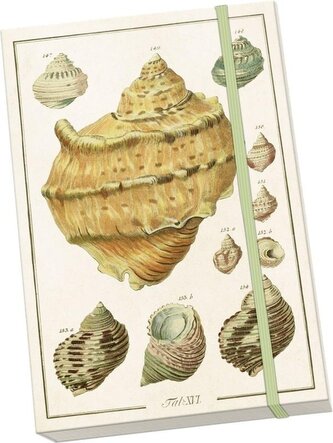 Notatnik ozdobny A5 STNOTE 135 Muszle