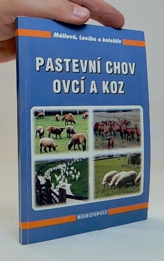 Pastevní chov ovcí a koz
