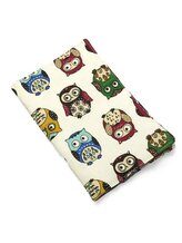 Obal na očkovací a zdravotní průkaz dítěte - Barevné sovy