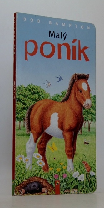 Malý poník