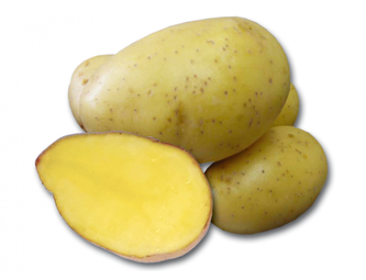 Brambory PRINCESS sadbové žluté rané 5kg