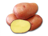 Brambory ROSARA sadbové červené velmi rané 5kg