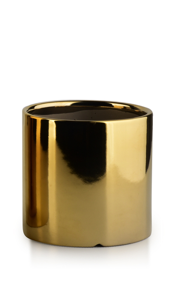 NEVA GOLD  DONICZKA h8.5x8.5cm