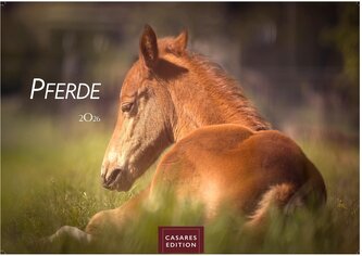 Pferde 2026 S 24x35cm