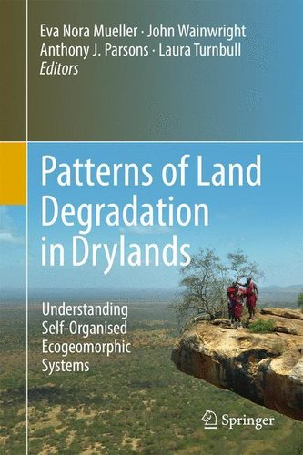 Patterns of Land Degradation in Drylands