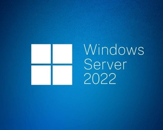 Win Server CAL 2022 Cze 1pk 1Clt Dev CAL OEM