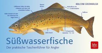 Süßwasserfische