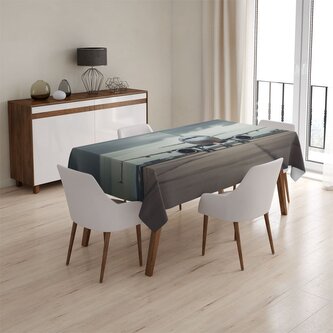Ubrus Letadlo na ranveji: 145x240 cm Ubrus Letadlo na ranveji: 145x240 cm