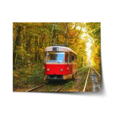 Plakát Červená tramvaj v lese: 60x40 cm