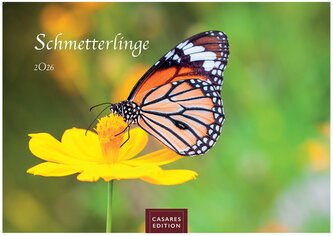 Schmetterlinge 2026 S 24x35c