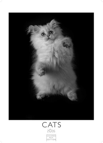 Cats 2026 S 29x21cm