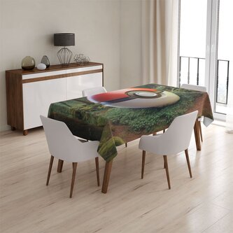 Ubrus Pokemon ball Les: 130x170 cm Ubrus Pokemon ball Les: 130x170 cm
