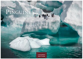 Pinguine 2026 S 24x35cm