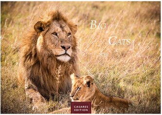 Big Cats 2026 S 24x35cm
