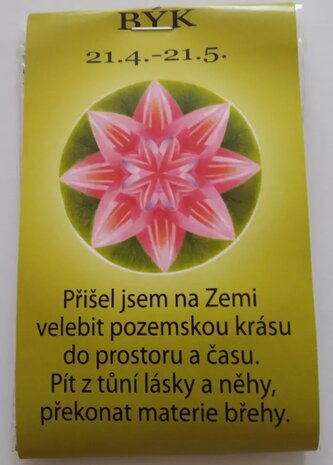 Čajíček - býk Čajíček - býk