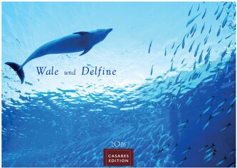 Wale und Delfine 2026 L 35x50cm