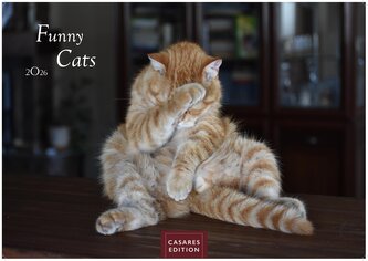 Funny Cats 2026 L 35x50cm