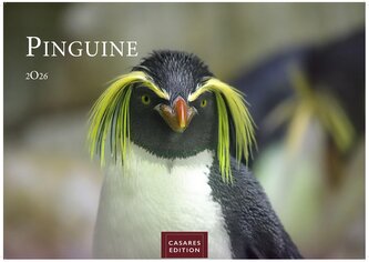 Pinguine 2026 L 35x50cm