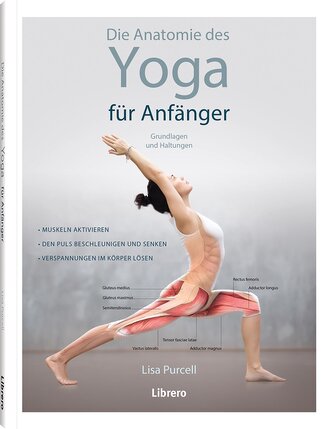 Die Anatomie des Yoga für Anfänger