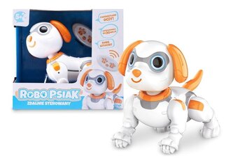 Robo-psiak R/C Robo-psiak R/C