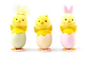 Kurczaczek wielkanocny w skorupce mix