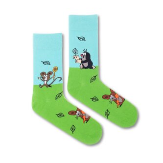 Ponožky Krtek na louce Zelené XL (47-50)