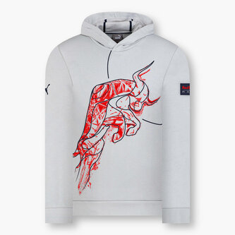 Red Bull Racing F1 mikina DYNAMIC BULL šedá