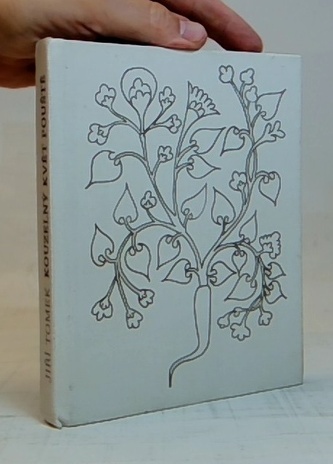 Kouzelný květ pouště