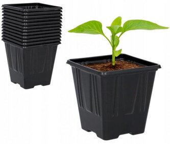 IGOTREND, Květináč sadbový 7 x 7 x 8 cm, 12 ks