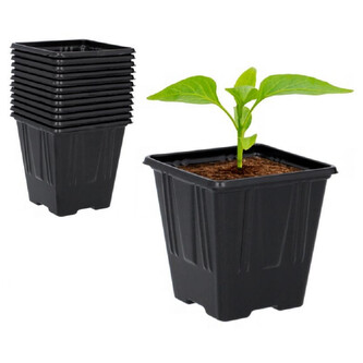 IGOTREND, Květináč sadbový 11 x 11 x 12 cm, 5 ks