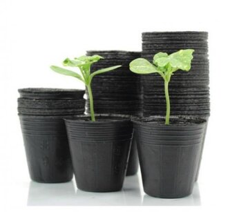 IGOTREND, Květináč sadbový 7,5 x 6,7 cm, 100 ks