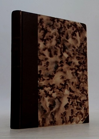 Celibát II. (Původní román kněze o třech dílech)