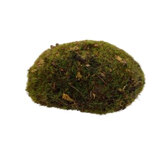 Mechový oblázek přírodní zelený  89001