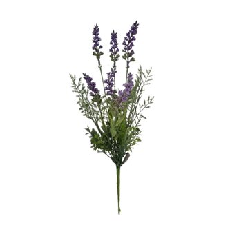 Levandule, v. 43 cm  43396
